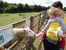 Écomusée de Kent Life