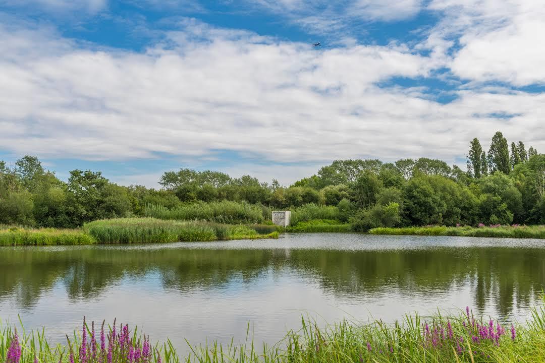 Espace naturel London Wetland Centre