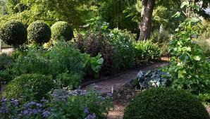 Jardin botanique de Chelsea