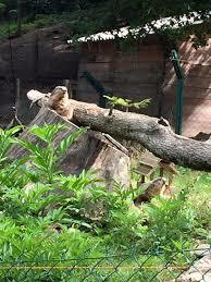 Happy Forest Accro Nature