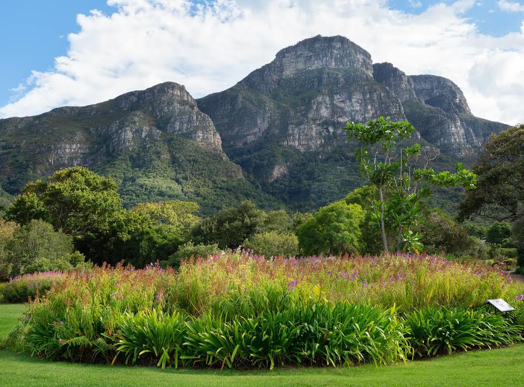 Jardin botanique national Kirstenbosch