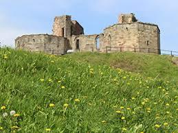 Château de Stafford