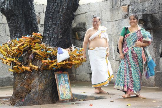 Temple Nithyakalyana Perumal