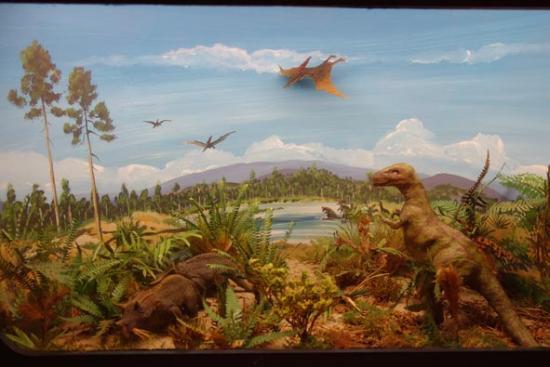 Musée géologique de Hofland