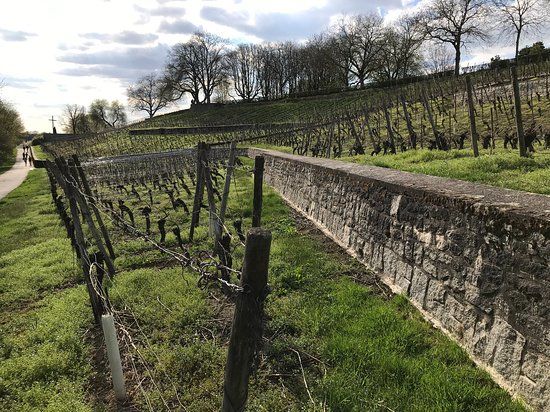 MainÄppelHaus Lohrberg Streuobstzentrum e.V