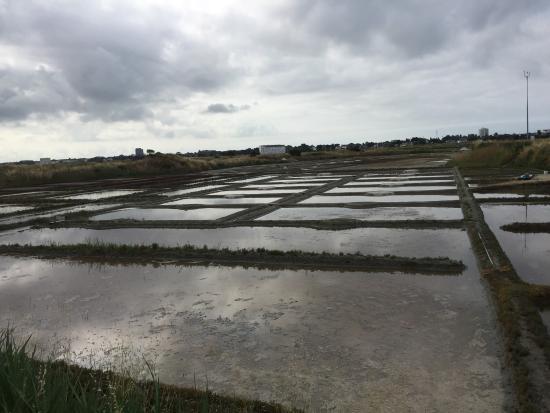 La Maison des Paludiers