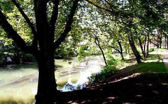 Parc de l'île du Vieux Moulin