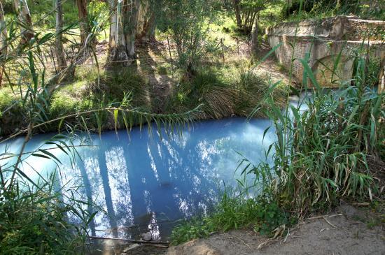 Banos de la Hedionda