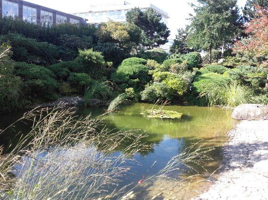 Jardin japonais du Havre
