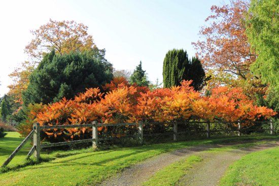 Parc arboretum du manoir aux loups