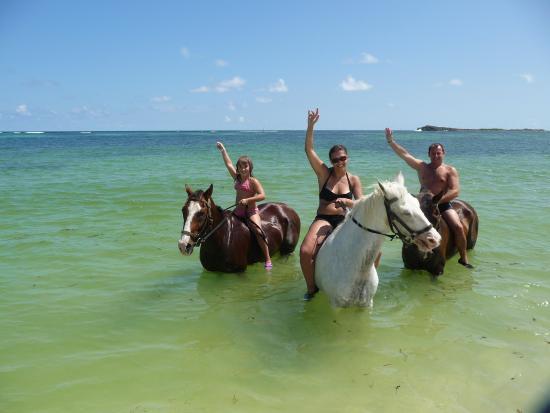 Bayside Riding Club Ranch