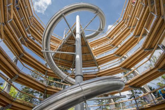 Sentier sur les cimes de la Forêt-Noire