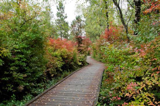 Parc naturel de Richmond