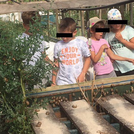 Escargotière du Marquenterre