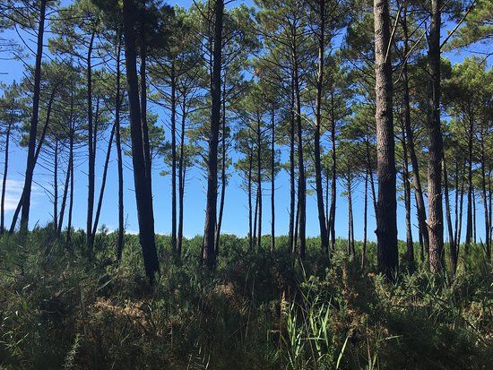 Sentier de Découverte L'Etang de la Mailloueyre