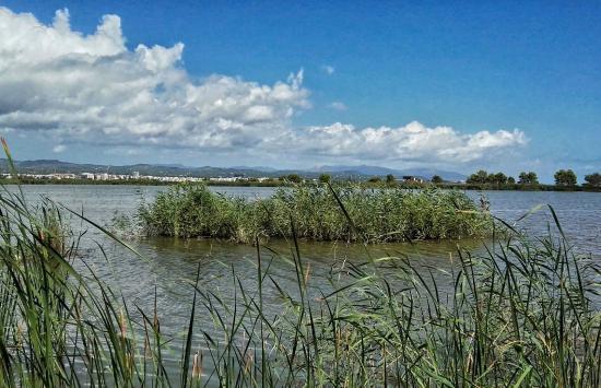 Laguna de les Olles
