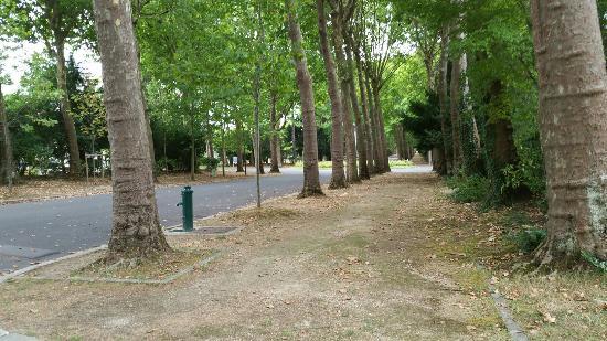 Cimetière Parisien de Bagneux