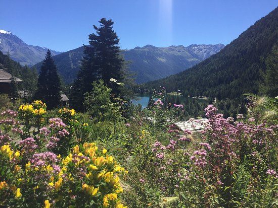 Jardin botanique alpin Flore-Alpe