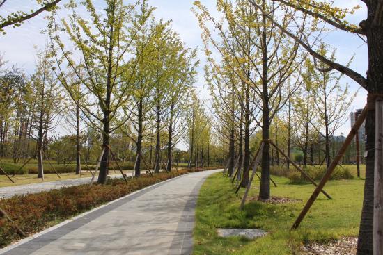Parc des citoyens de Busan