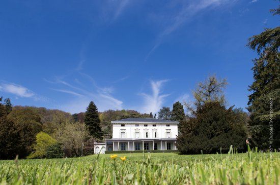 Musée Chaplin's World