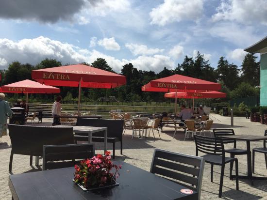 The Hope and Champion