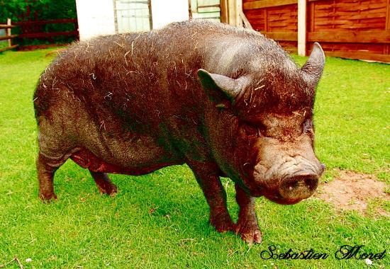 Ferme Nature Chez Poly