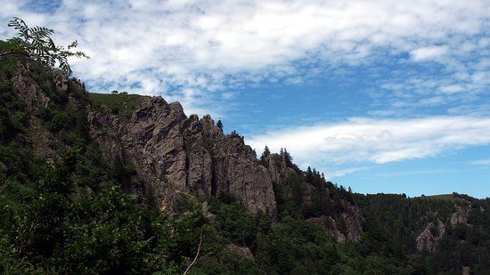 Réserve Naturelle Frankenthal-Missheimle