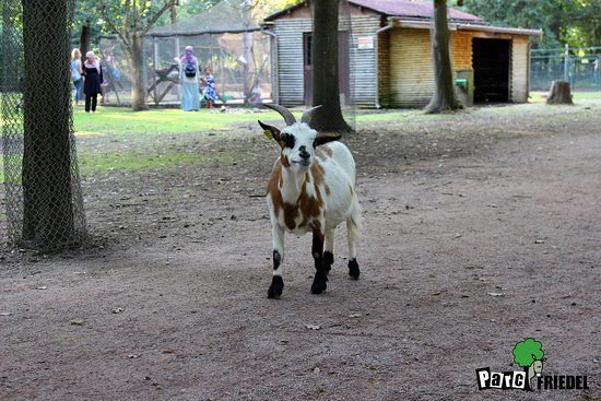 Parc animalier Friedel