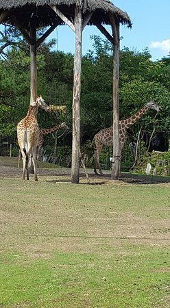 parc zoologique de Bordeaux Pessac
