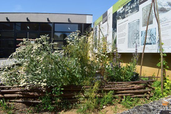 musée archéologique de Civaux