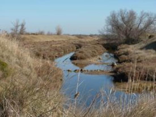 réserve naturelle de Bagnas