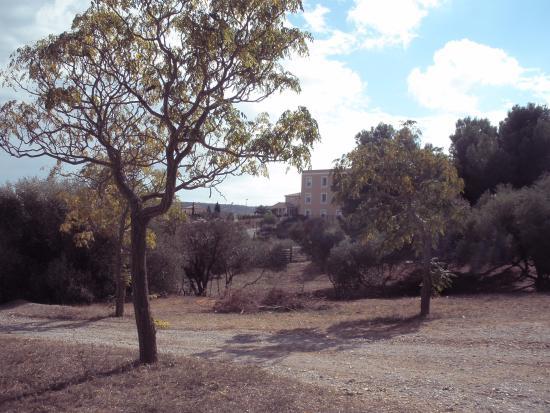 Parc du Château de Montplaisir
