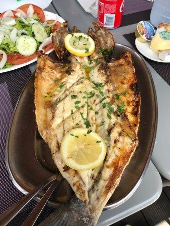 Restaurante Agua Viva