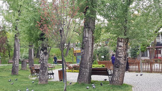 Parc Kuğulu