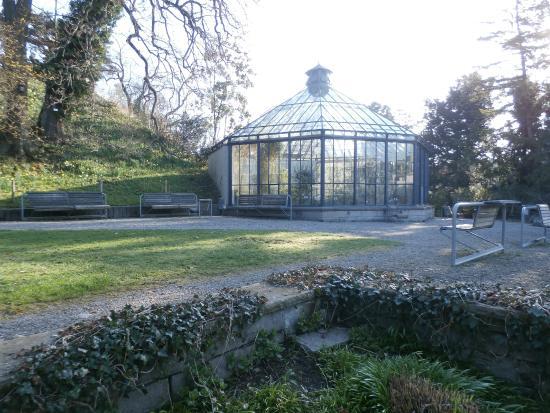 Jardin botanique de Zurich