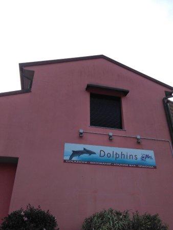Bar Dolphins
