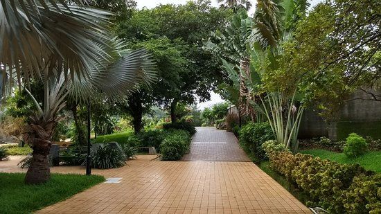 Aarey Bhaskar Garden