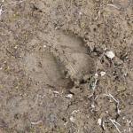 Suppenstube zur Krähe