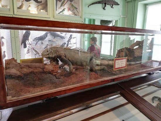 Muséum Emmanuel Liais