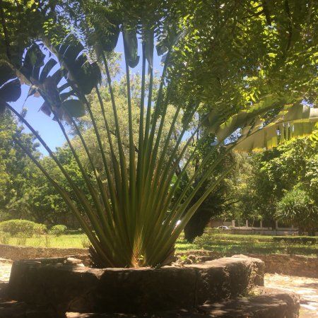 Jardins botaniques de Dar es Salaam