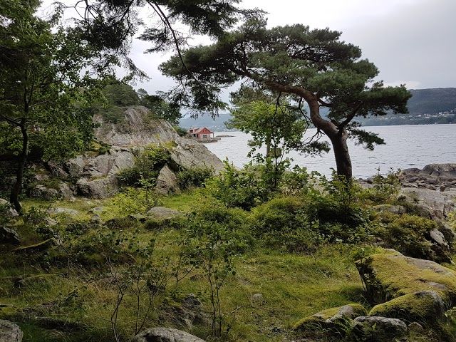 Arboretum et jardin botanique