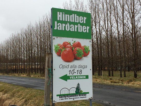 Garðyrkjustöðin Kvistar