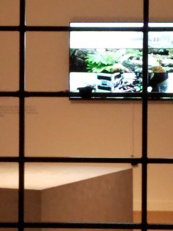 Orange County Museum of Art