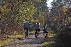 Forêt de Rambouillet