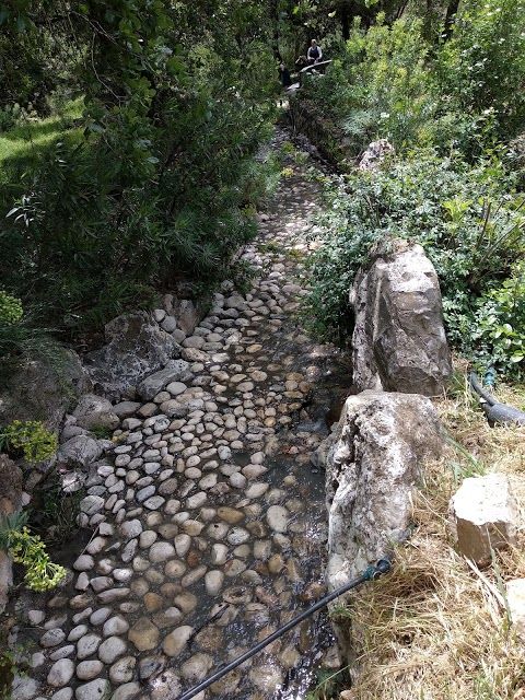 Jardin botanique de Jérusalem