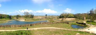 Réserve naturelle du Zwin