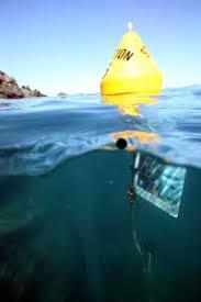 Sentier Sous-Marin de Cerbère-Banyuls