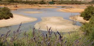 Réserve naturelle de Ghadira