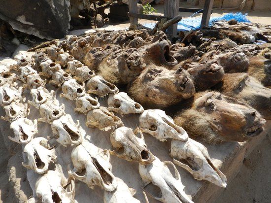 Marché des féticheurs