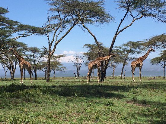 Réserve de Crescent Island